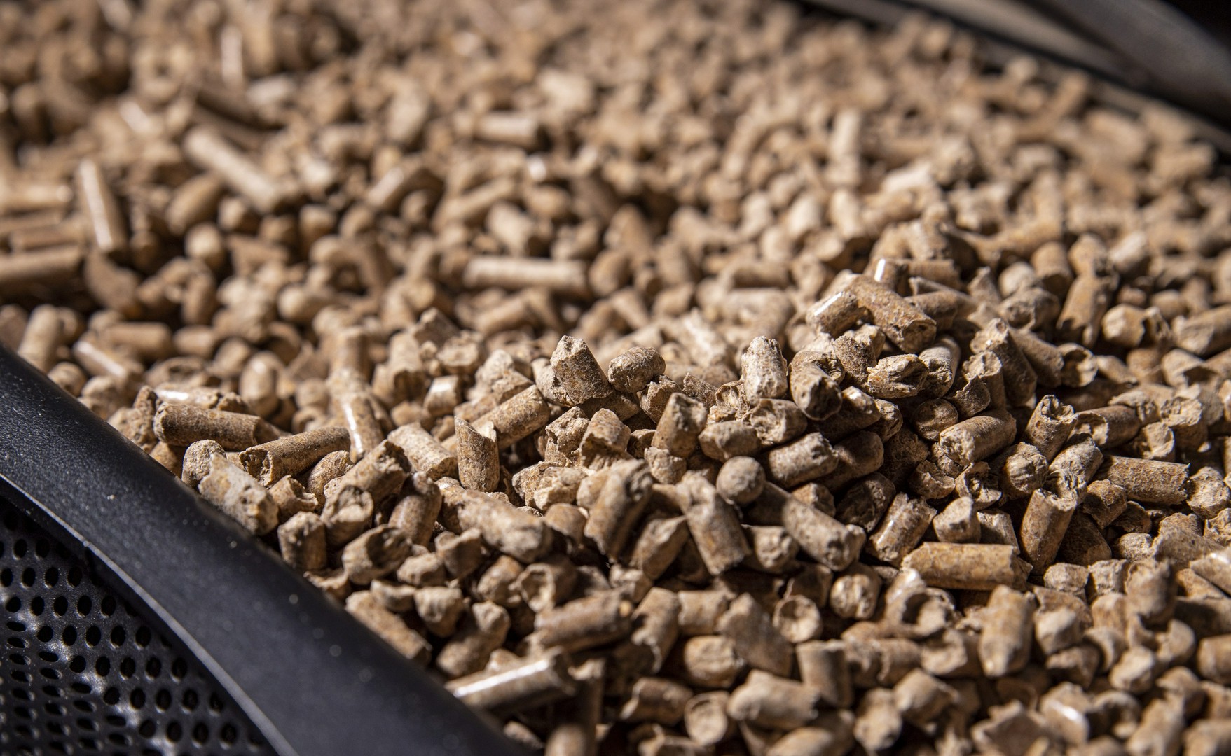 Polecane kotły marki Atmos